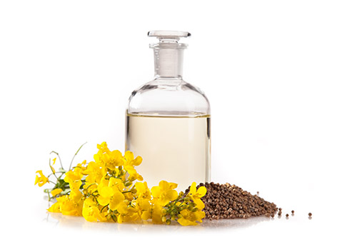Oilseed-processing