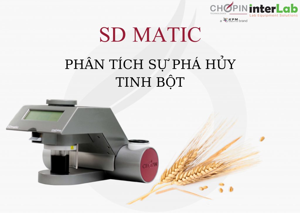 su-pha-huy-tinh-bot-gay-anh-huong-nhu-the-nao?